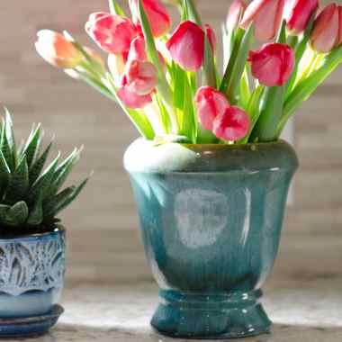 tulips-kitchen-ideas-interior-design-major-buttons